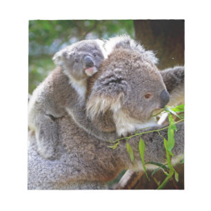 Bloc-note Ours de koala mignon de bébé avec la maman dans 
