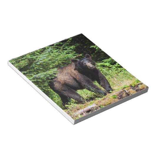 Bloc-note Ours noir Alpha (Incliné)