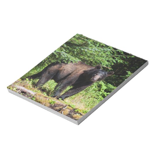 Bloc-note Ours noir Alpha (Tourné)