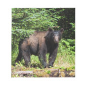 Bloc-note Ours noir Alpha (Devant)