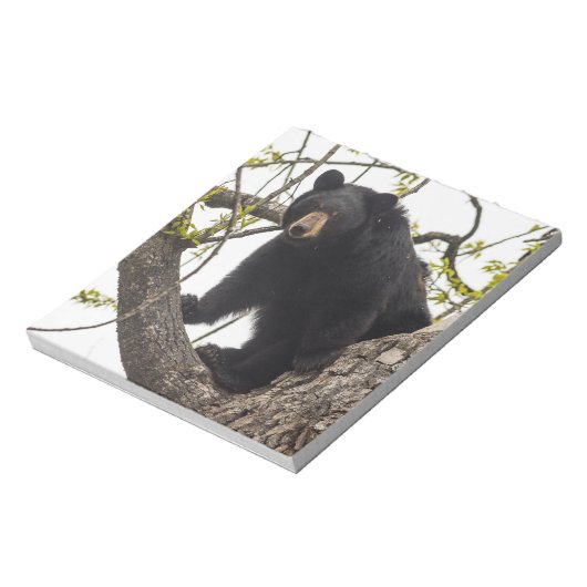 Bloc-note Ours noir Escalade (Tourné)