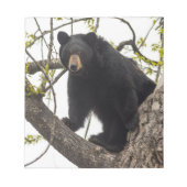 Bloc-note Ours noir Escalade (Devant)