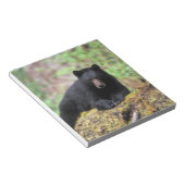 Bloc-note Ours noir sur une vieille bille de croissance dans (Incliné)