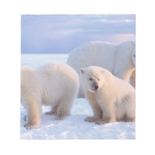Bloc-note Ours polaire femelle avec des oursons sur la glace