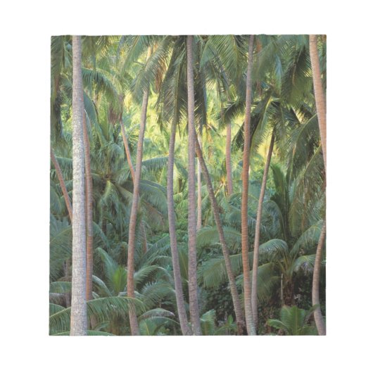 Bloc-note Pacifique Sud, Polynésie française, Bora Bora. (Devant)