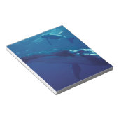 Bloc-note Pacifique Sud, Tonga. baleine à bosse et veau (Incliné)