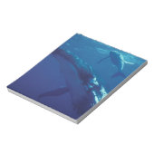 Bloc-note Pacifique Sud, Tonga. baleine à bosse et veau (Tourné)