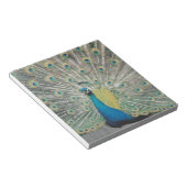 Bloc-note Pacock (Incliné)