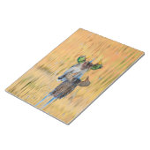 Bloc-note Paire de Mallards (Incliné)