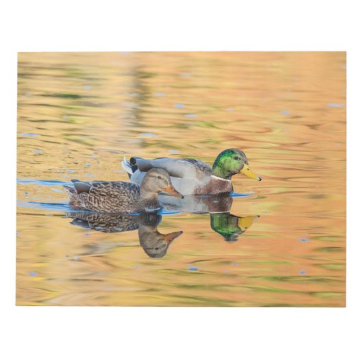 Bloc-note Paire de Mallards (Devant)