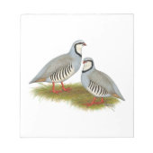 Bloc-note Paire de perdrix de Chukar (Devant)