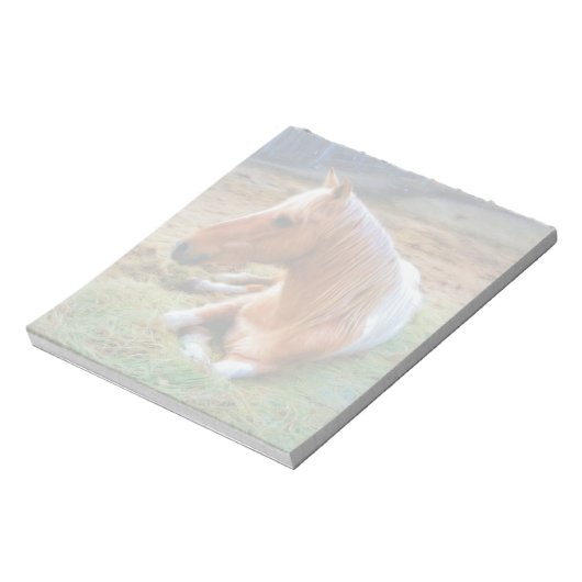 Bloc-note Palomino Pinto Cheval Repose d'oeuvres (Tourné)