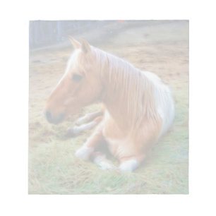 Bloc-note Palomino Pinto Cheval Repose d'oeuvres
