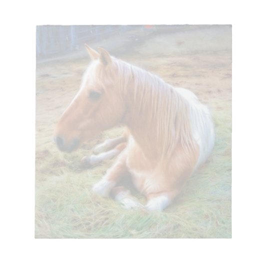 Bloc-note Palomino Pinto Cheval Repose d'oeuvres (Devant)