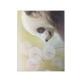 Bloc-note Panda Animaux sauvages Tranquille (Tourné)