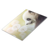 Bloc-note Panda Animaux sauvages Tranquille (Incliné)