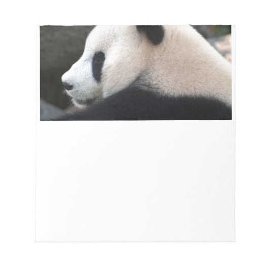 Bloc-note Panda Bear Hugs (Devant)