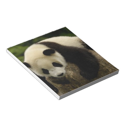Bloc-note Panda bébé géant (Ailuropoda melanoleuca) (Incliné)