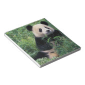 Bloc-note Panda géant dans l'herbe, vallée de Wolong, Sichua (Incliné)
