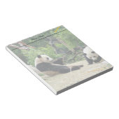Bloc-note pandas géants (Incliné)