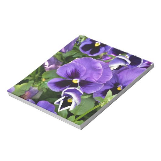 Bloc-note panneaux violets (Tourné)