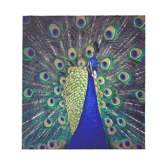 Bloc-note Paon bleu cobalt (Devant)