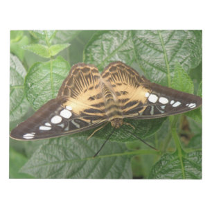 Bloc-note Papier photo Papier photo Papillon Tropical