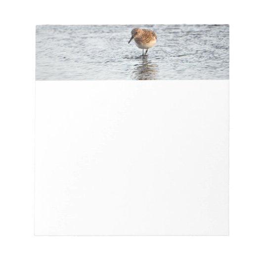 Bloc-note Papier photo Sandpiper Bird (Devant)