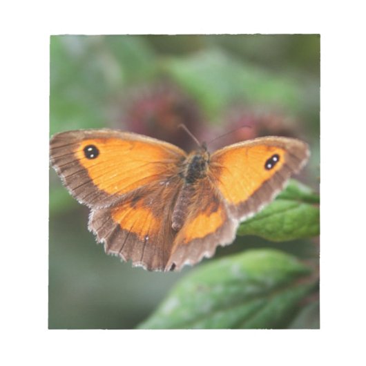 Bloc-note Papillon (Devant)