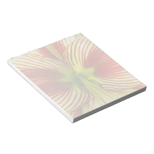 Bloc-note Papillon Amaryllis (Incliné)