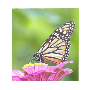 Bloc-note Papillon monarque