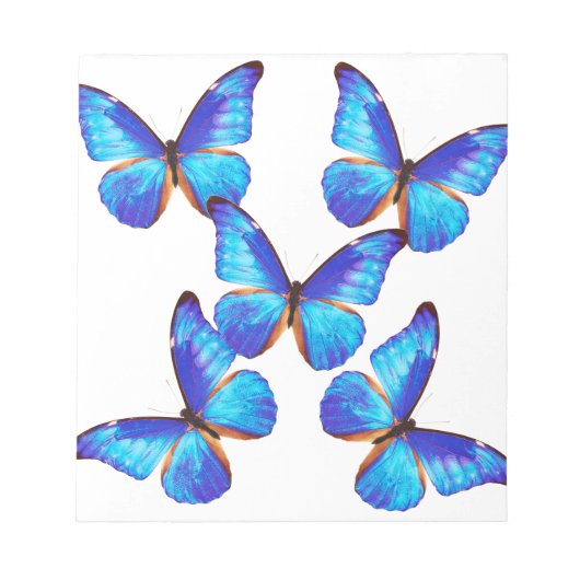 Bloc-note "Papillon morpho"の 優 良 品 (Devant)