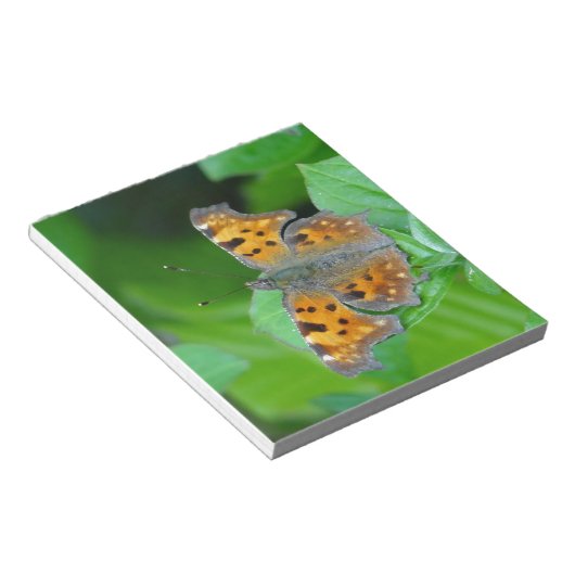 Bloc-note Papillon orange (Incliné)
