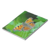 Bloc-note Papillon orange (Tourné)
