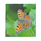 Bloc-note Papillon orange (Devant)