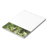 Bloc-note Papillon-soeur de Californie en Yosemite (Tourné)