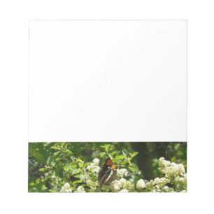 Bloc-note Papillon-soeur de Californie en Yosemite