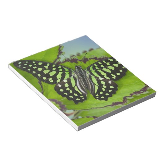 Bloc-note Papillon sur fond vert (Incliné)