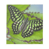 Bloc-note Papillon sur fond vert (Devant)