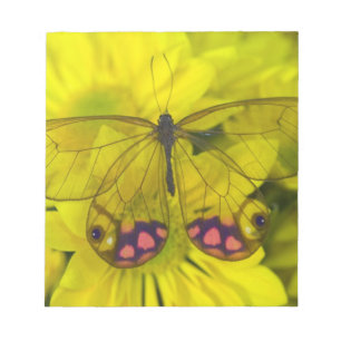 Bloc-note Papillon sur jaune