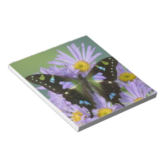 Bloc-note Papillon sur Violet (Incliné)