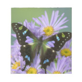 Bloc-note Papillon sur Violet (Devant)