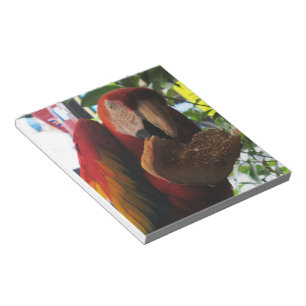 Bloc-note Parrot Macaw Scarlet Manger Toast
