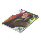 Bloc-note Parrot Macaw Scarlet Manger Toast (Tourné)