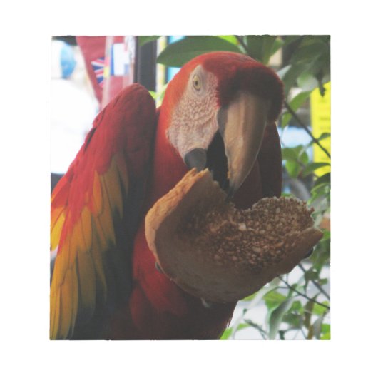 Bloc-note Parrot Macaw Scarlet Manger Toast (Devant)