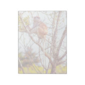 Bloc-note Patas est en haut d'un arbre (Tourné)