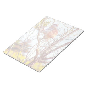 Bloc-note Patas est en haut d'un arbre