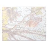 Bloc-note Patas est en haut d'un arbre (Devant)