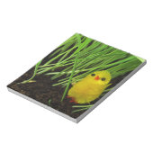 Bloc-note pâté (Tourné)