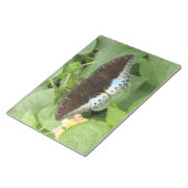 Bloc-note Pavé à papillon Tropical (Incliné)